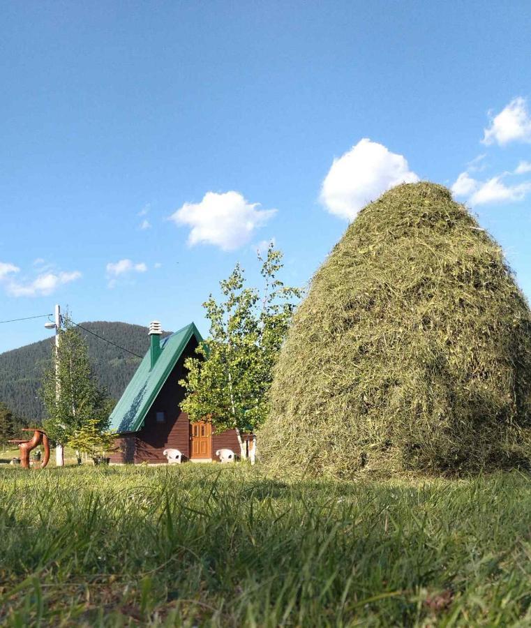 Etno Koliba Nikoleta Villa Žabljak Exterior foto